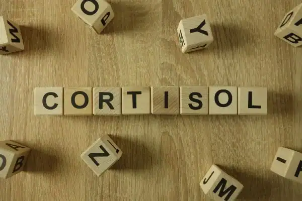 The Hidden Connection: How Stress Shapes Your Fitness and Body Composition 2 Image saying "Cortisol" and how stress Cambridgeshire impacts your wellbeing and bodies shape